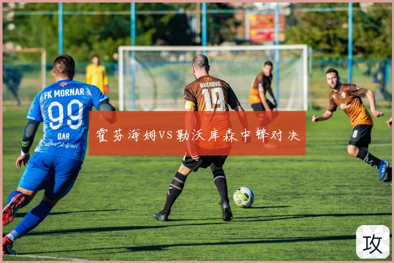 霍芬海姆vs勒沃库森中锋对决